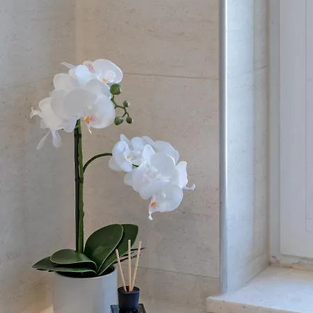 Palomar Luxury * Split