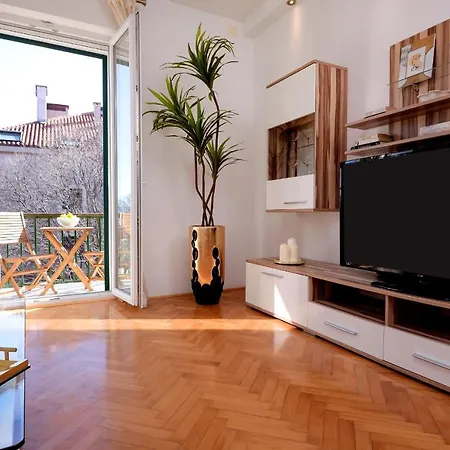 Palomar Luxury * سبليت